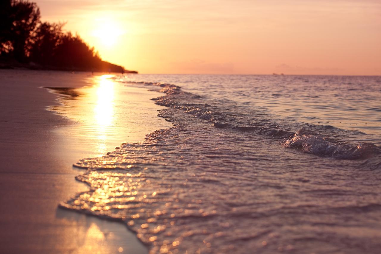 Hollywood Beach Suites Turks And Caicos Whitby Luaran gambar